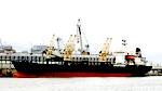 Parduoda bulker už