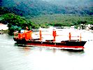Multipurpose / tween deckers / container vessels
