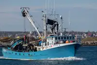 101 FT HERRING PURSE SEINER