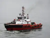 CM1083 RAMPARTS 3200 ASD TUG 82 TBP/6800 HP/2018 BLT FOR SALE