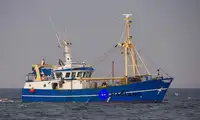 SHRIMP BEAM / WETFISH TRAWLER