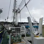 42.7m Purse Seine Fish Scout / Carrier