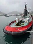 31m Voith Tractor Tug